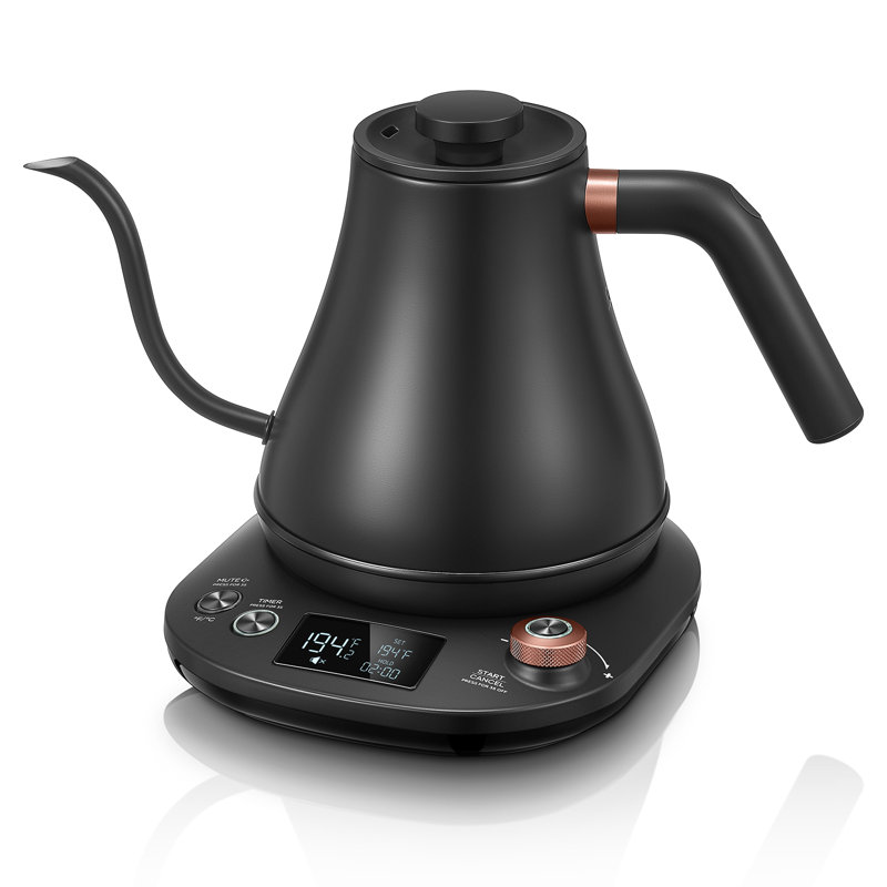 Aiheal Gooseneck Kettle