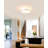 2 - Light 11.5" Unique/Statement Drum Flush Mount