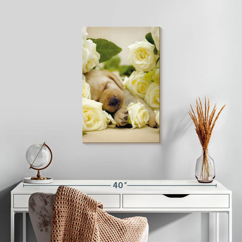 Brampt Oscar I, 24" H x 16" W