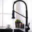 Hot And Cold Water Kitchen Tap, Black, Pull Out , Brass, Single Hole Temperature Adjusting Valve Sink Handle Mixer