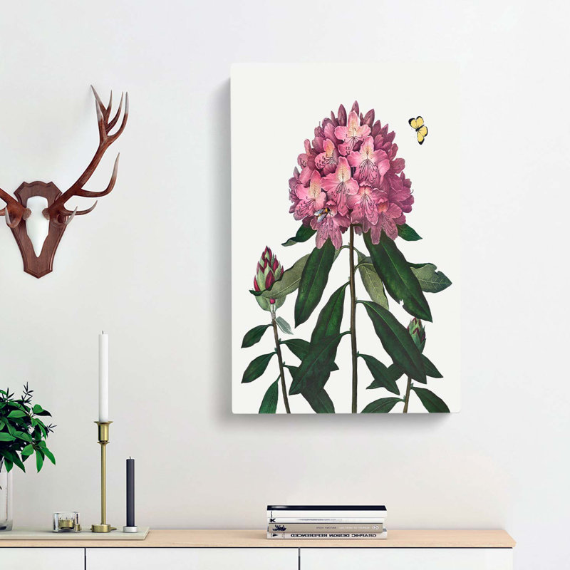 Butterfly and Rhododendrons by R.J. Thornton - Wrapped Canvas, 76cm H x 50cm W x 3cm D