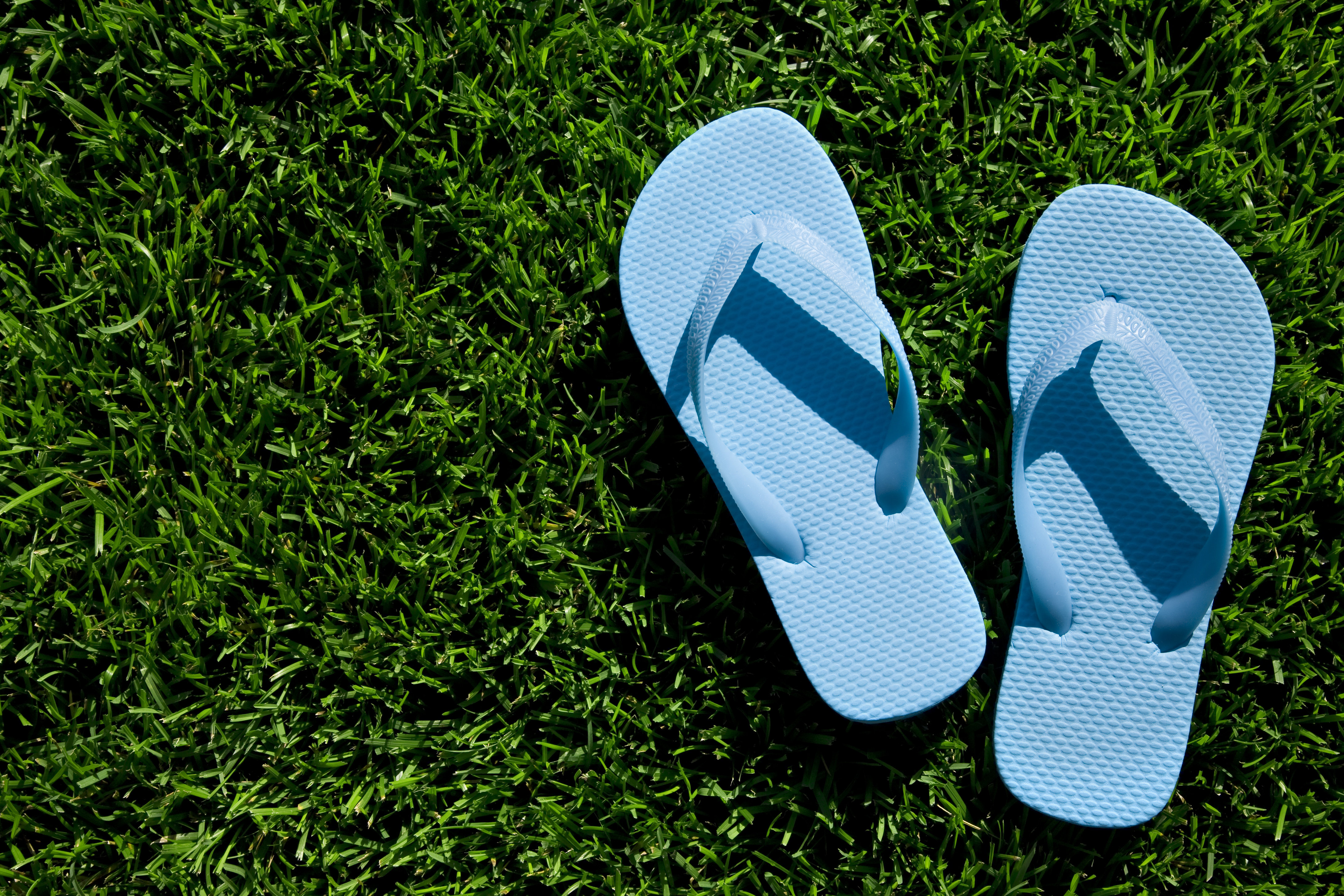 Latitude Run® Flip Flop! by Liliboas | Wayfair
