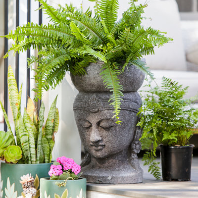 Buddha Head Planter
