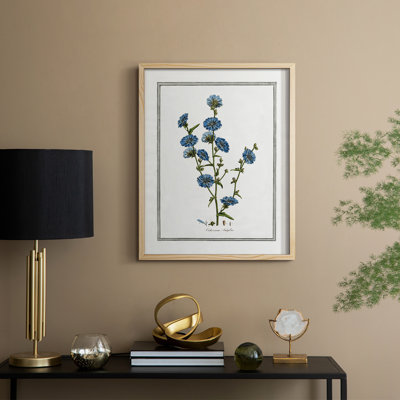 Soft Botanical I Framed Print - Solid Wood