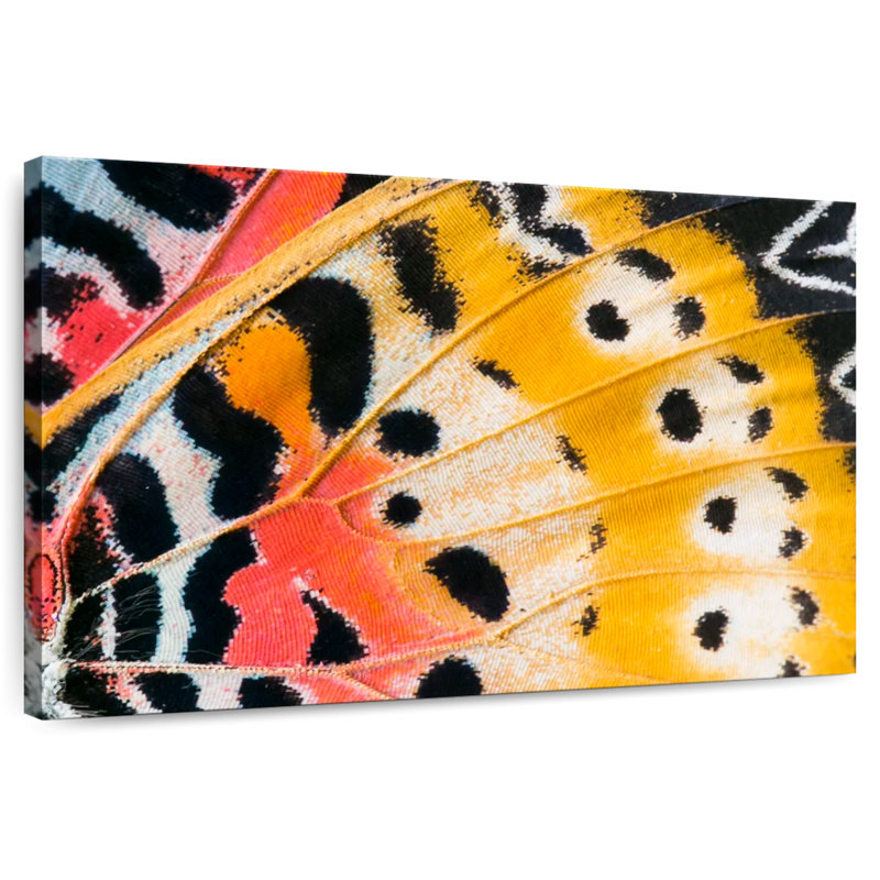 Brampt Butterfly Wing Colors, 24" H x 36" W