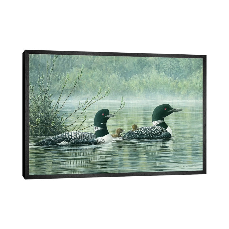 Northern Reflections - Loons by Don Li-Leger - Floater Frame Print on Canvas, Black Framed, 66.04 cm H x 45.72 cm W