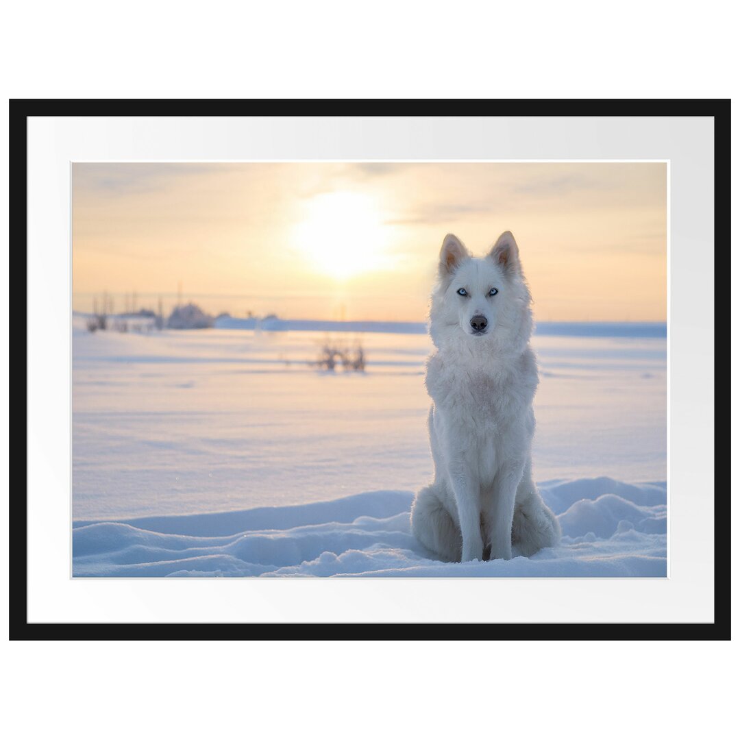 Gerahmtes Papierbild Wolf im Schnee