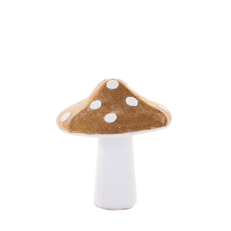 Blanc champignon velouté, Brun / blanc