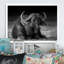 Buffle africain en noir et blanc - reproduction d'art sur toile-771507784-771507785