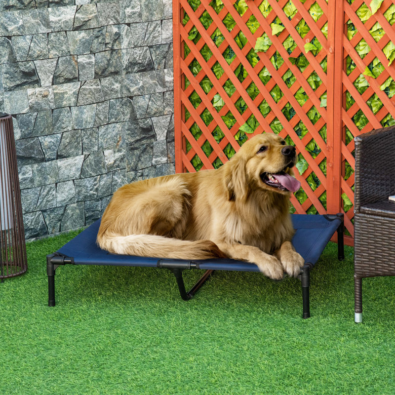Rashad Polyester Pet Bed, Large (91.5cm L x 76.2cm W)