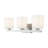 3 - Light Dimmable Vanity Light-22524574