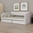 Compact Upholstered Daybed, Includes Two Spacious Drawers for Organization-803063361