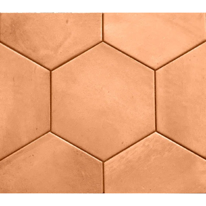 SAN MIYOS HEX, Chameau