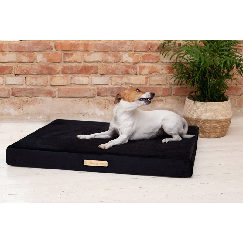 Orthopedic Polyester Pet Bed, Black, 11cm H x 65cm W x 45cm D