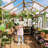 6x8 ft Greenhouse for Outdoors, Large Wooden Greenhouses with Adjustable Roof Vent & PC Panels & Lockable Door, Heavy Duty Spruce Frame Green House for Garden, Backyard, Patio-124934821-124934824