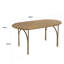 Arpita Oval Solid Wood Top Metal Base Dining Table-1305125003