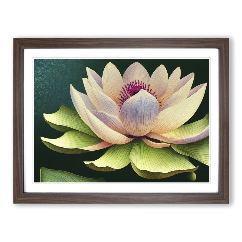 XH1022-7119X Precious Lotus Flower - Single Picture Frame Print, 46cm H x 64cm W x 2cm D, Walnut Framed