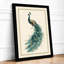 Peacock in Profile Botanical - Framed Print-1686322949-1686323067