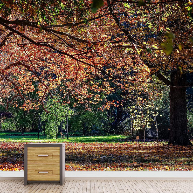 Autumn Fall Tree Leaf Park, 100" L x 144" W