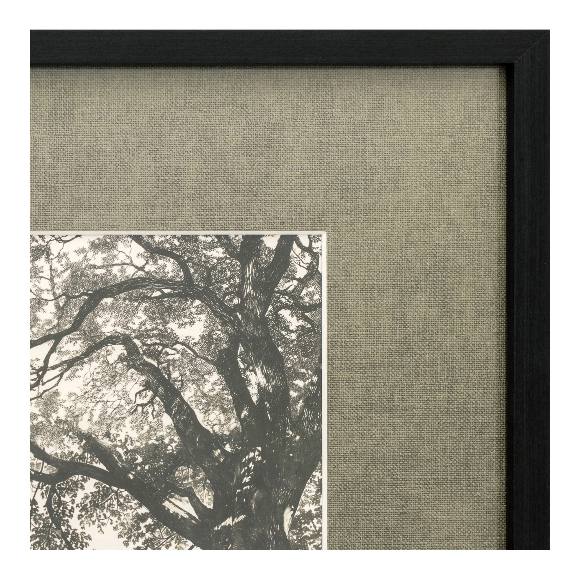 Arise Framed Print