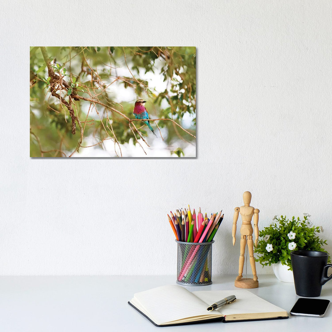 Lilc Breasted Roller Bird In Tree von Susan Richey - Gallery-Wrapped Canvas Giclée