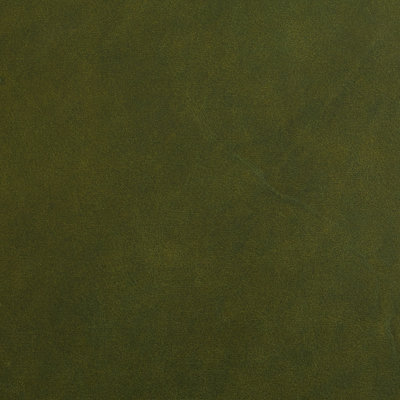 Loden Green Leather Sample