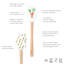 Spatule Tovolo Spatulart®