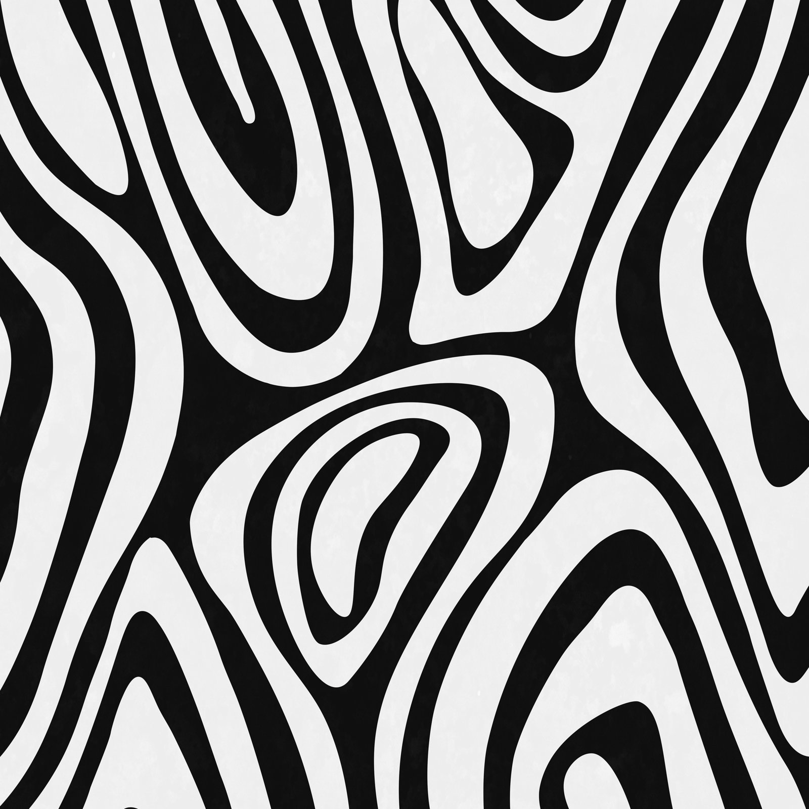 Eudelia "Black White Minimal" Print, Black Floater Framed, No, 12" H x 12" W x 0.75" D
