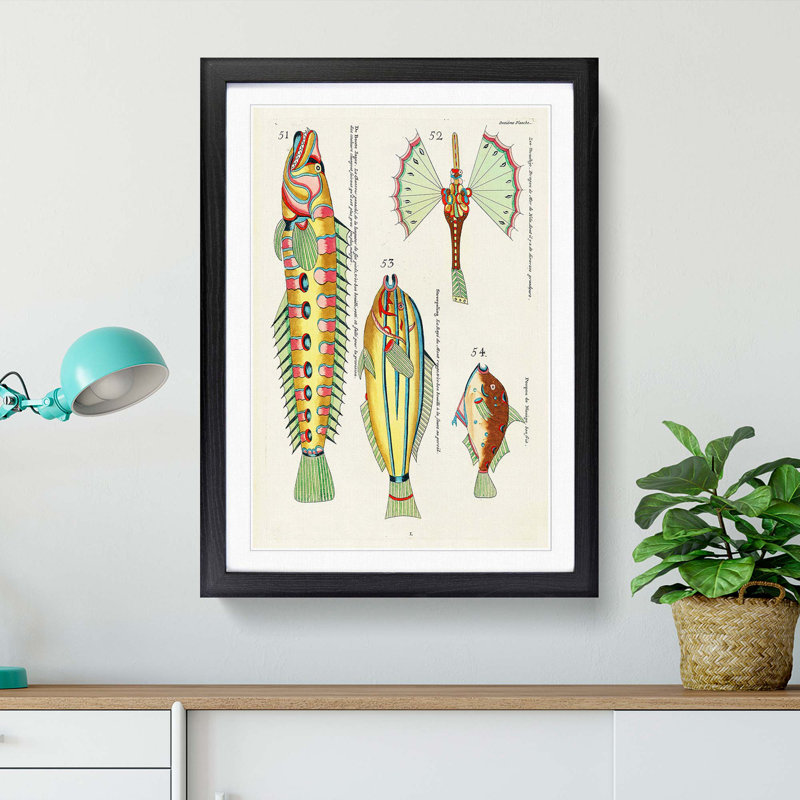 East Indies Fish Illustrations Onzieme by Louis Renard - Picture Frame Graphic Art Print, 48cm H x 36cm W x 2cm D