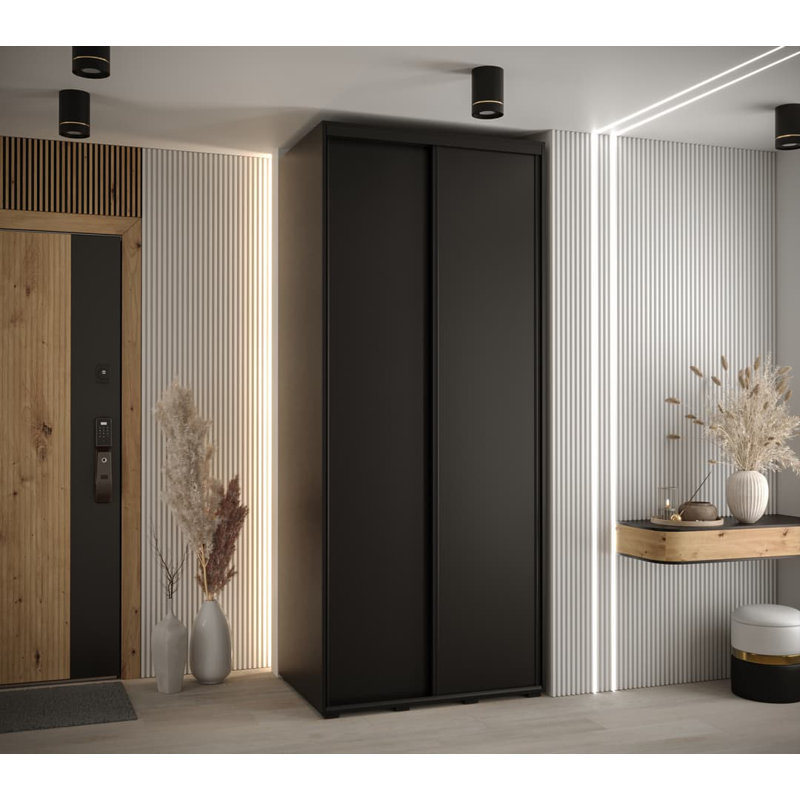 Cayleen 2 Door Manufactured Wood Wardrobe, Black