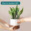 FLHPOT Ceramic Pot Planter-1957853568