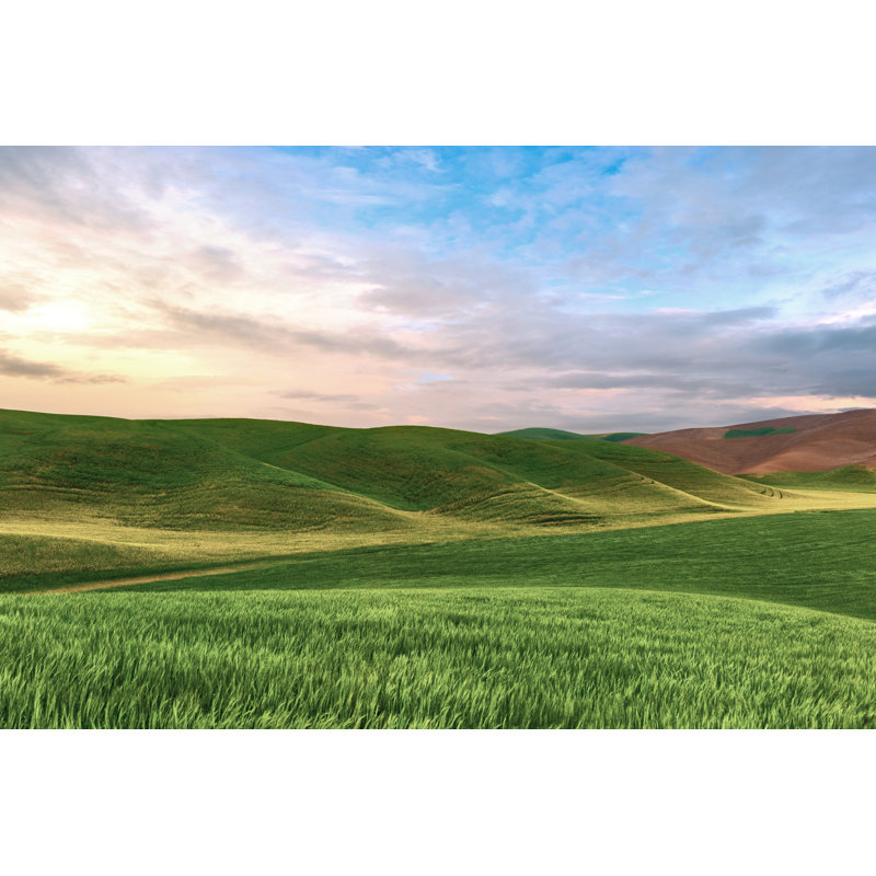 Farmscape Photo V by James McLoughlin - Wrapped Canvas Print, 30cm H x 46cm W