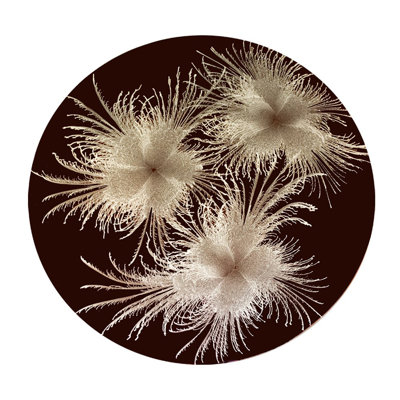 Silver Three Feathers Round Placemat With Burgundy Background