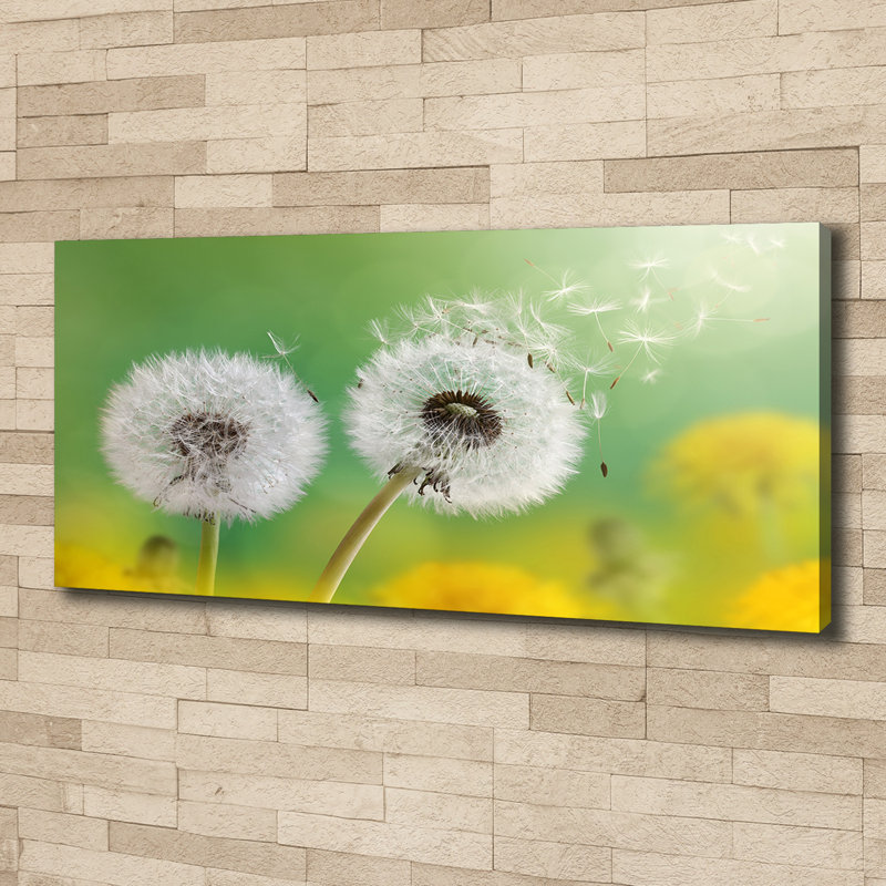 Dandelions - Wrapped Canvas Print