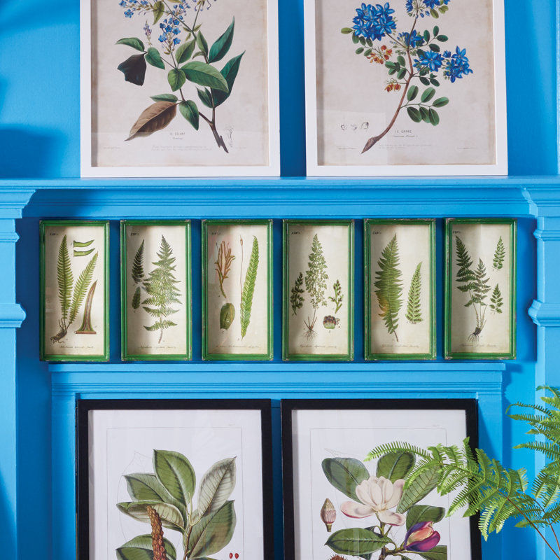 «Fern Prints» de Sannois - Ensemble de 6 reproductions de cadres photo