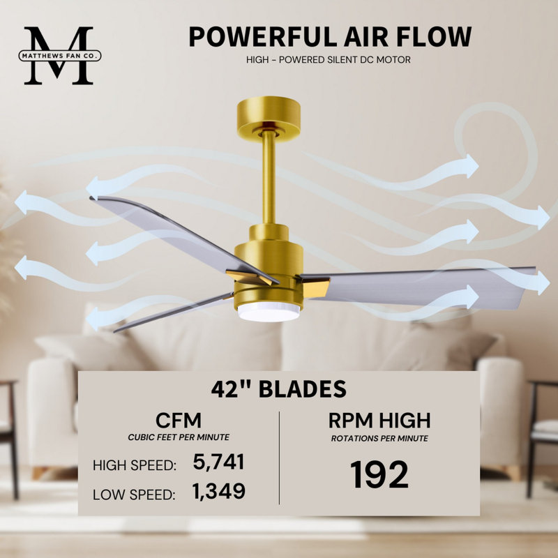 Alessandra - Three Blade Transitional Ceiling Fan -LED, Brushed Nickel, Brushed Brass, 42"