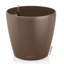 Classico Pot Planter-16493099-16493100