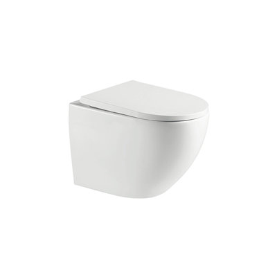 Subway Wall-mounted Dual-flush Toilet