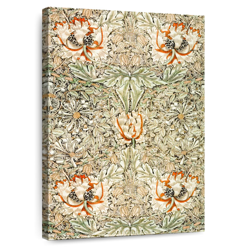Kerner Honeysuckle 1876, 48" H x 32" W