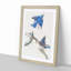 Bluebirds by John Audubon - Picture Frame Painting Print-55544292-55544290