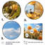 Dandelion Sunlit Petals I - impression sur toile florale-1257857744-1257857746