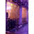 Purple is out of stock