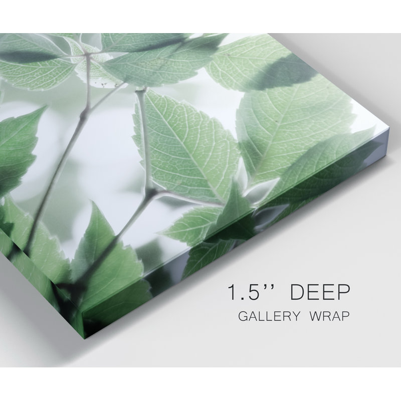 « Fields of Green I », reproduction de photo sur toile tendue, H 27 po x l 18 po x P 1 po