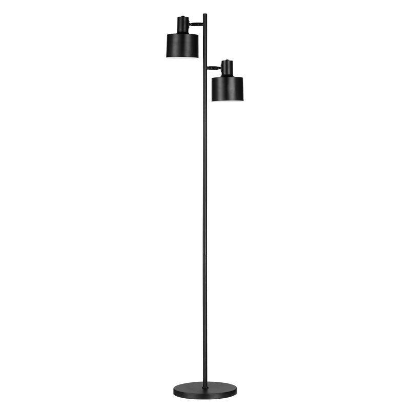 Cenephat 167cm Reading Floor Lamp, Black