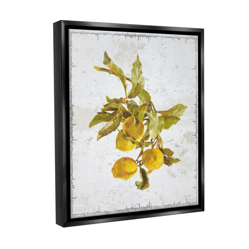 "Branche de citron naturel" sur toile, Cadre flottant noir de jais, H 31 po x l 25 po