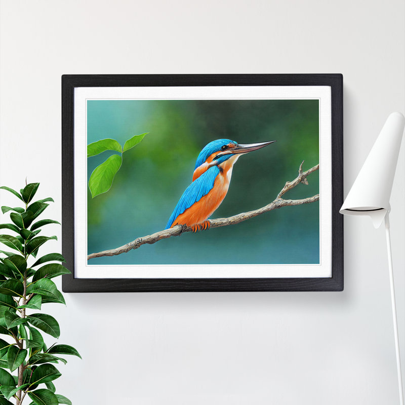 Evocative Kingfisher Bird - Framed Print, Black, 46cm H x 64cm W x 2cm D