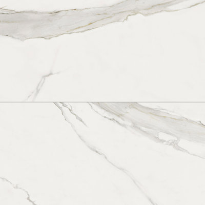 Frost 24X48 Calacatta