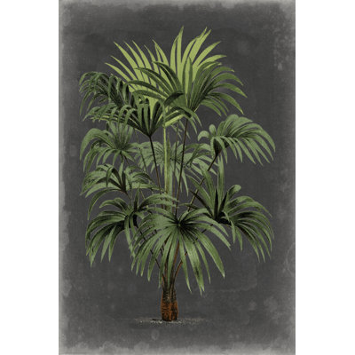 Dramatic Palm I by Vision Studio - Wrapped Canvas Painting