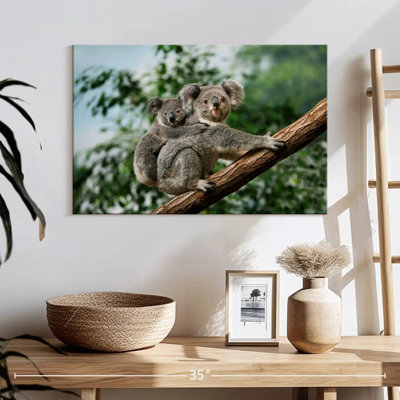 Brampt Koala Mother And Joey