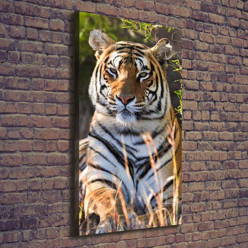 Tiger - Wrapped Canvas Print